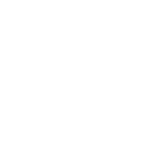 Black Diamond Mining Services